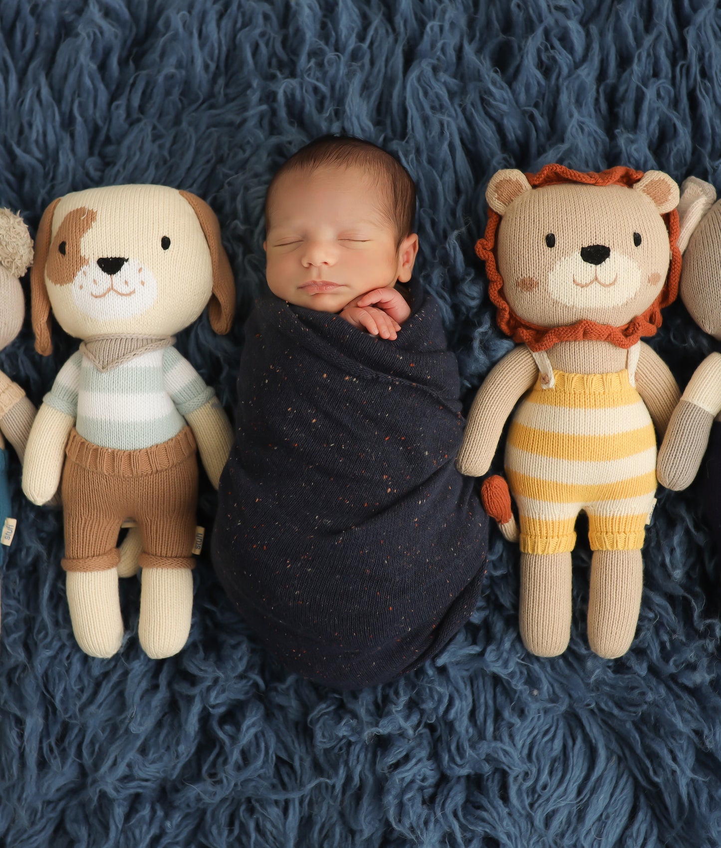 Noah the Lion