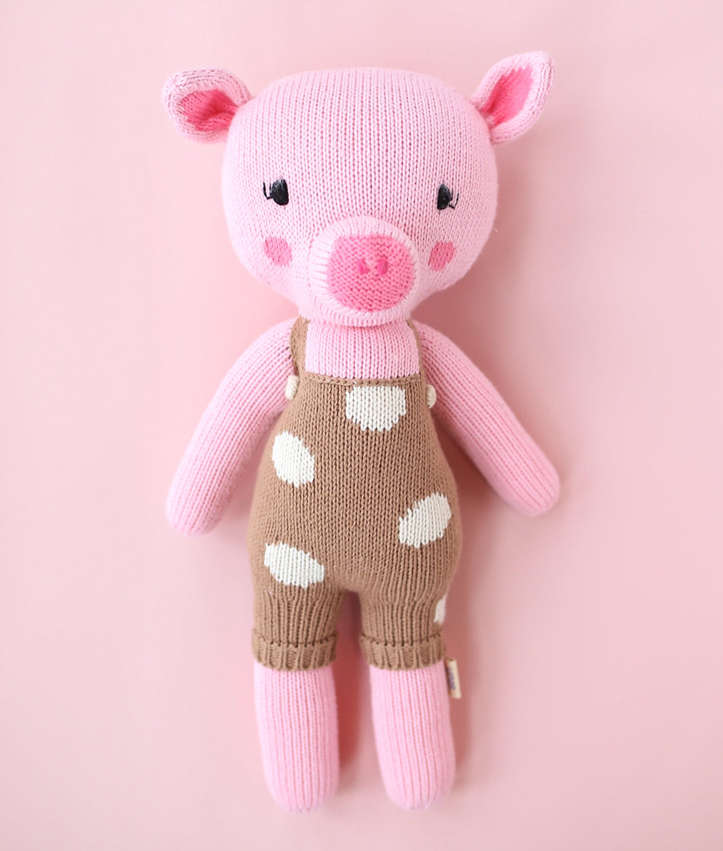 Charlie the Pig